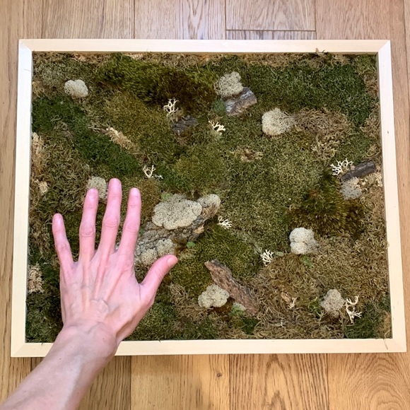 Gorgeous Moss Frame - Wall Art - Picture 3 of 4